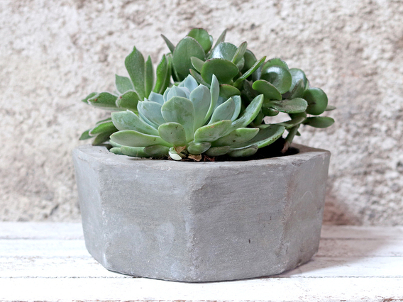 Hexagonal Cement Pot Medium