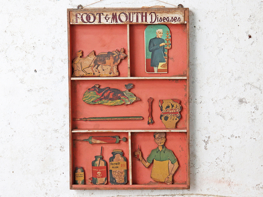 Vintage Wall Art - 3D Agricultural Poster Pink