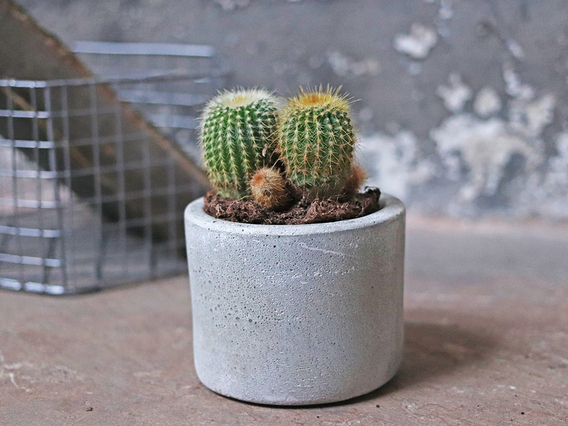 Cement Mini Planter