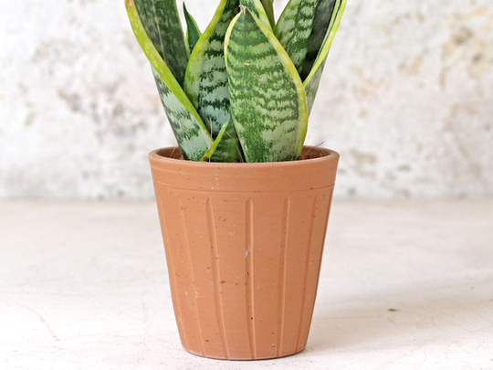 Fluted Terracotta Pot - Medium