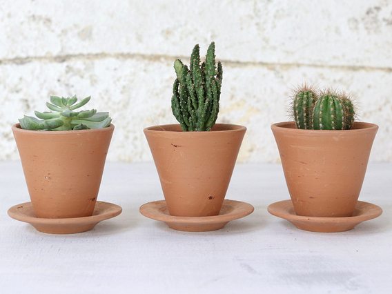 Mini Terracotta Pot Small