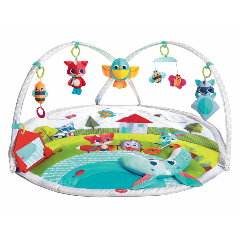 Tiny Love - Meadow Days - Rainbow Gymini