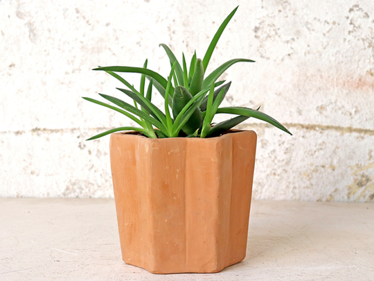 Terracotta Star Pot - Small
