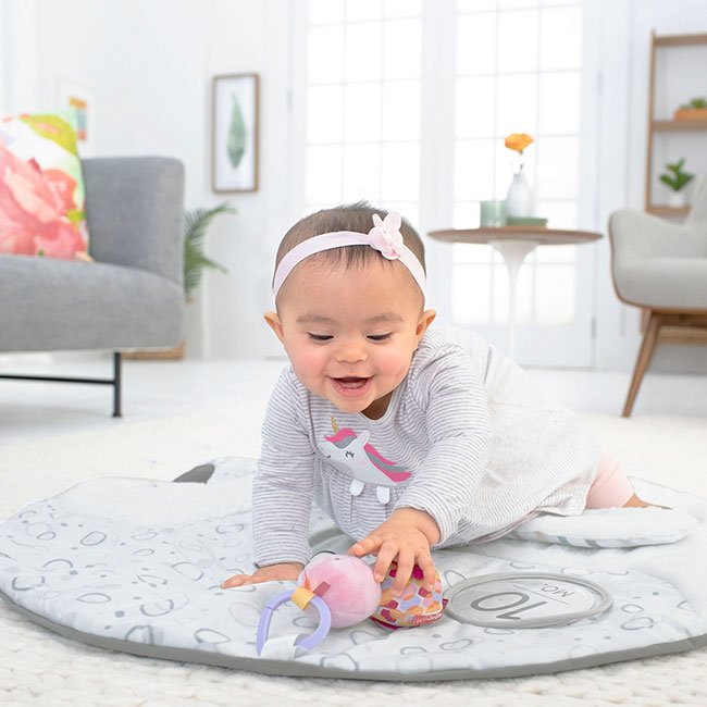 Skip Hop - Little Swan Playmat w. Milestone Cards
