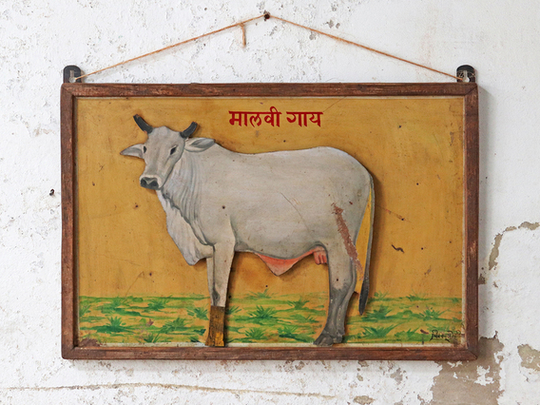Old Painting - White Cow Yellow