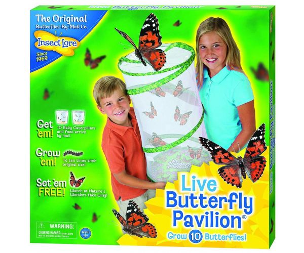 Insect Lore - Butterfly Pavilion (60073)