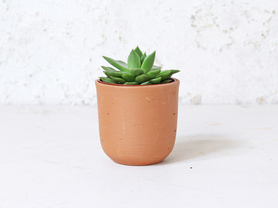 Curved Terracotta Plant Pot - Small Small