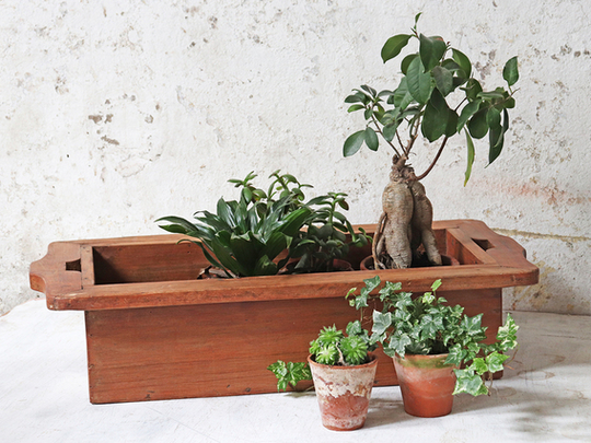 Hardwood Planters Brown