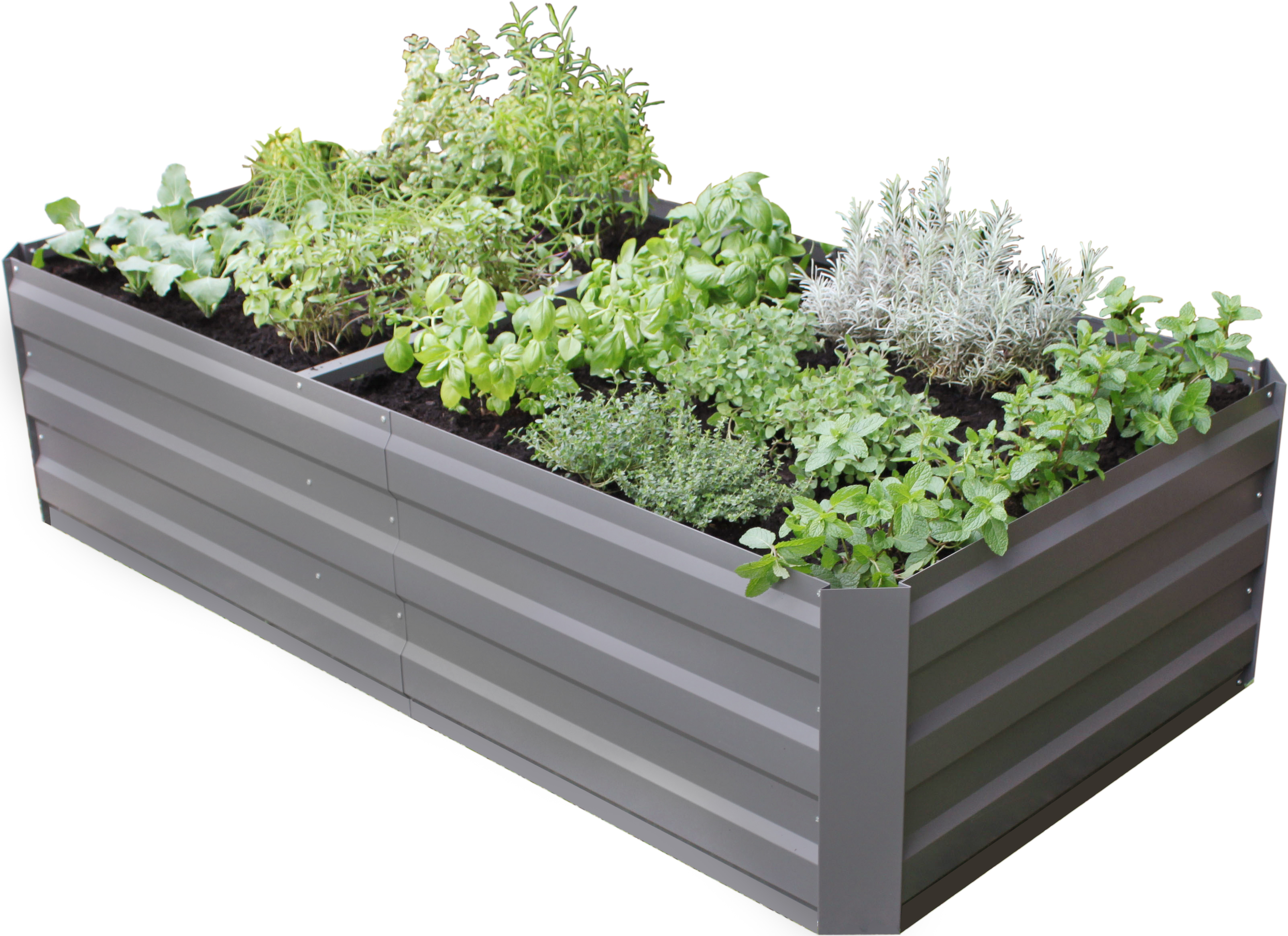 Gardenlife - Easy Raised Bed 90 x 180 cm - Large (131662)
