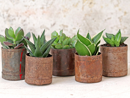 Vintage Metal Pots - Small (Set of 3) Brown