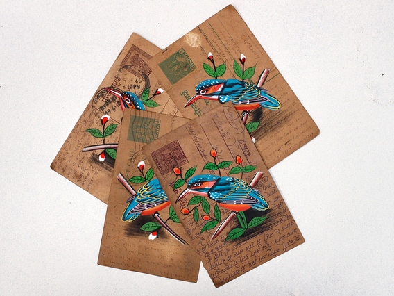 Vintage Postcard - Kingfisher Natural